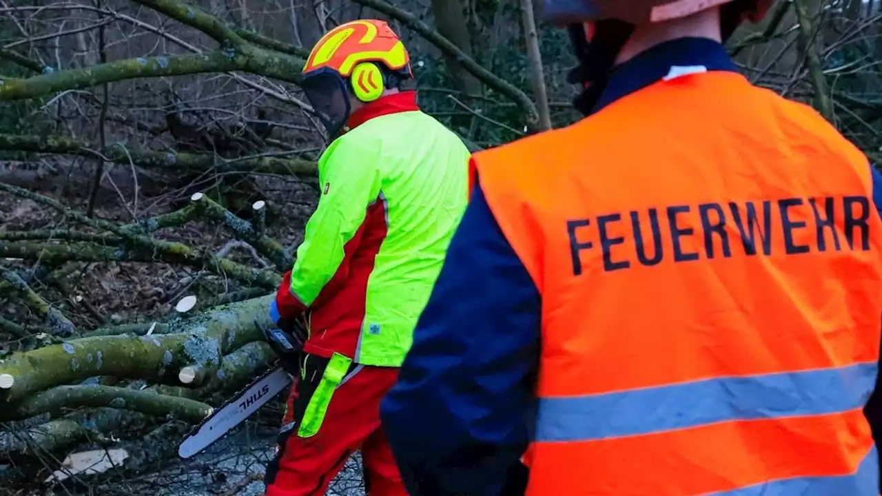 Feuerwehr Essen rückt zu rund 50 unwetterbedingten Einsätzen aus - Bahn wird von Ast getroffen