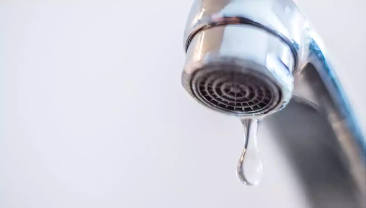 Strengere Regeln für Trinkwasser aus dem Wasserhahn treten in Kraft