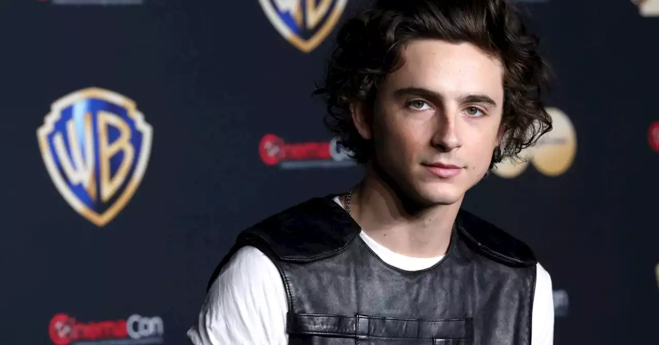 Rumor Killer: Timothée Chalamet Bob Dylan Movie Not Getting Streaming Release