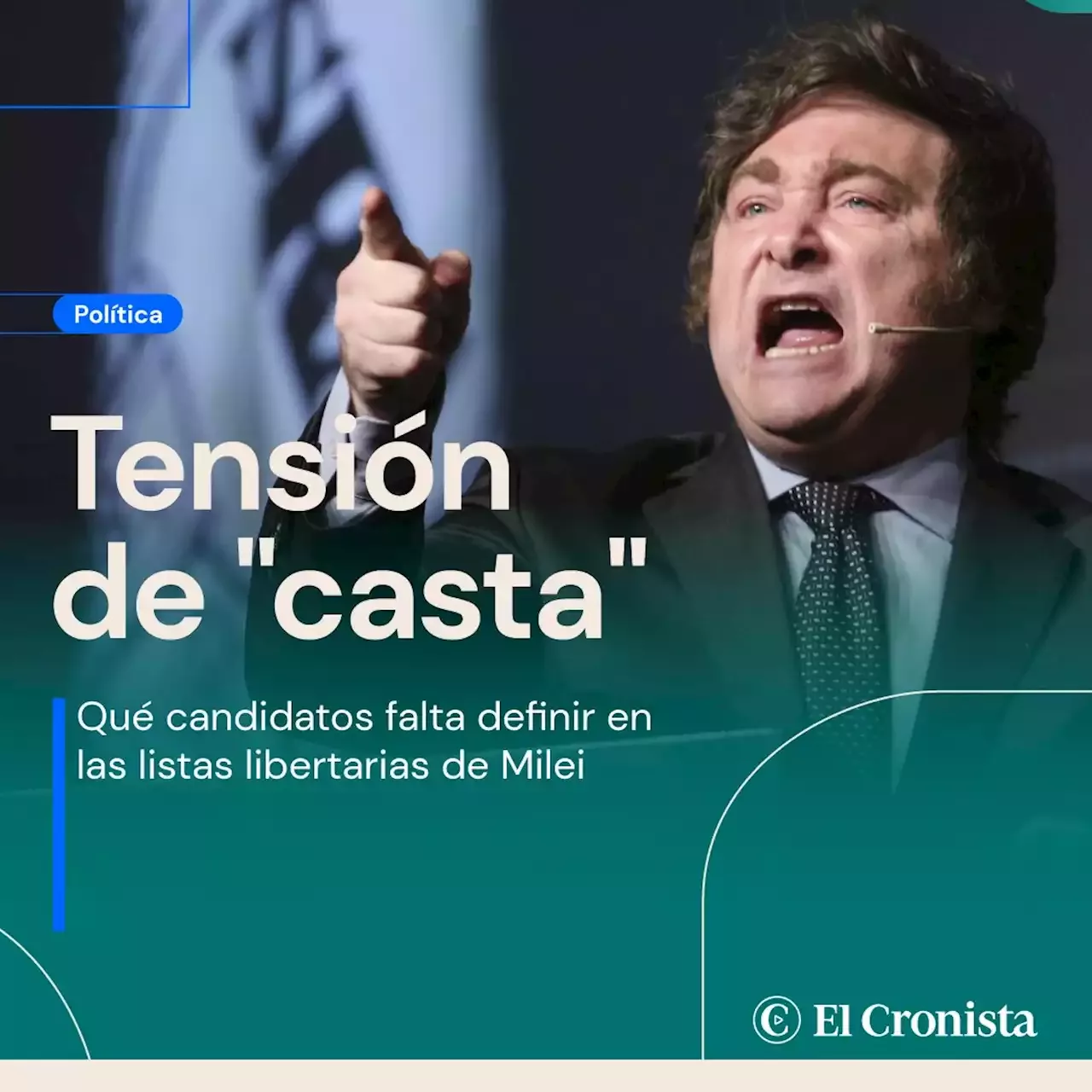 Tensi N De 'casta' En El Armado De Milei: Qu Candidatos Faltan Definir ...