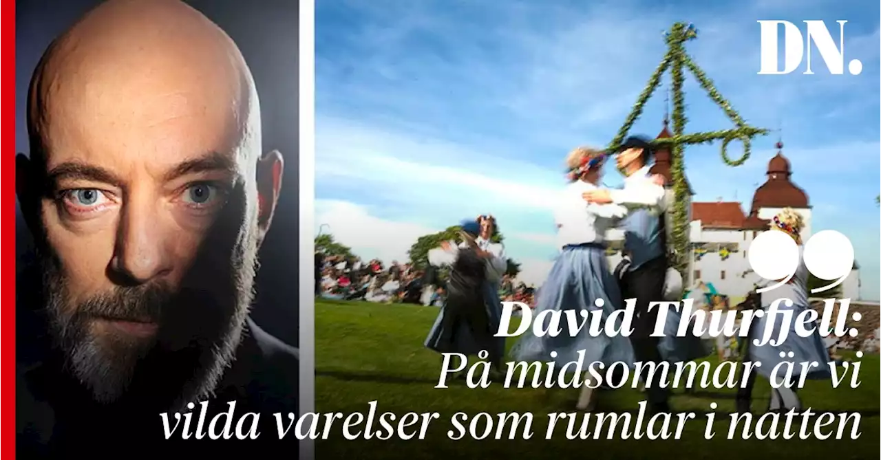 David Thurfjell: På midsommar är vi vilda varelser som rumlar i natten