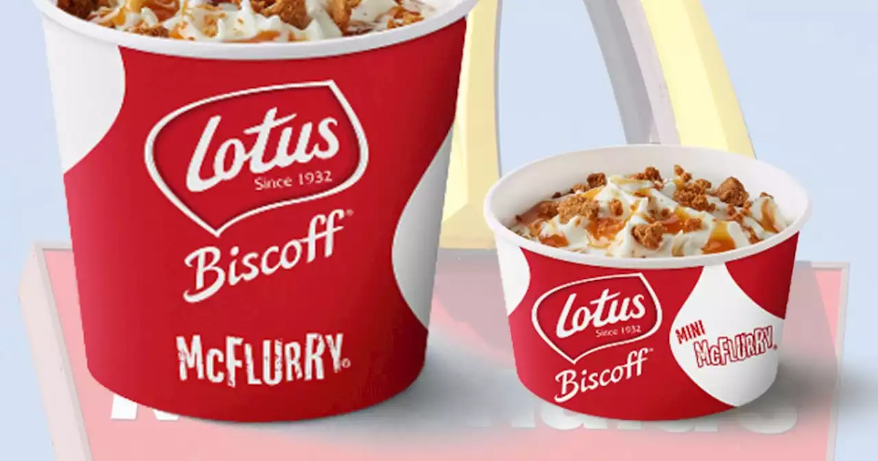 Homemade McDonald's Biscoff McFlurry for just 27p as new dessert released