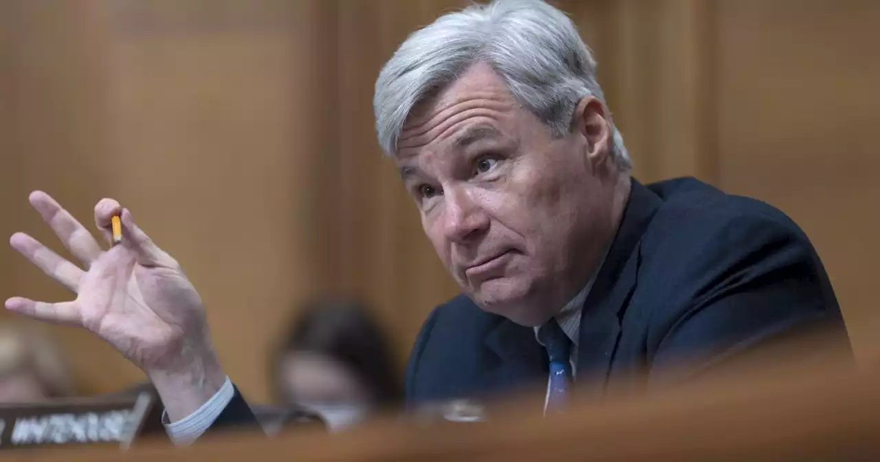 Sheldon Whitehouse says Trump 'in real trouble' as Jack Smith begins to provide evidence