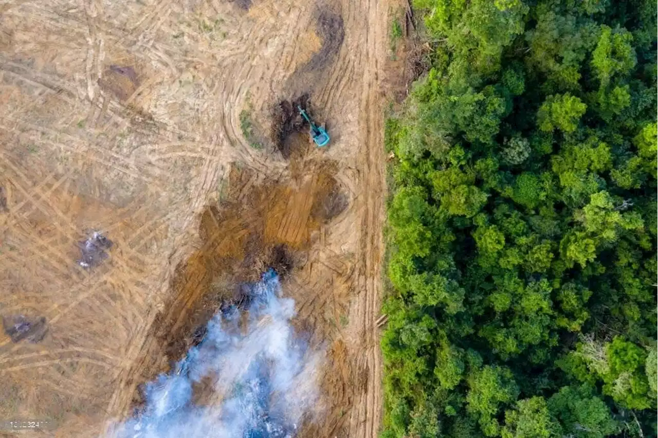 La cumbre climática de París logra 'consenso completo' para reformar sistema financiero