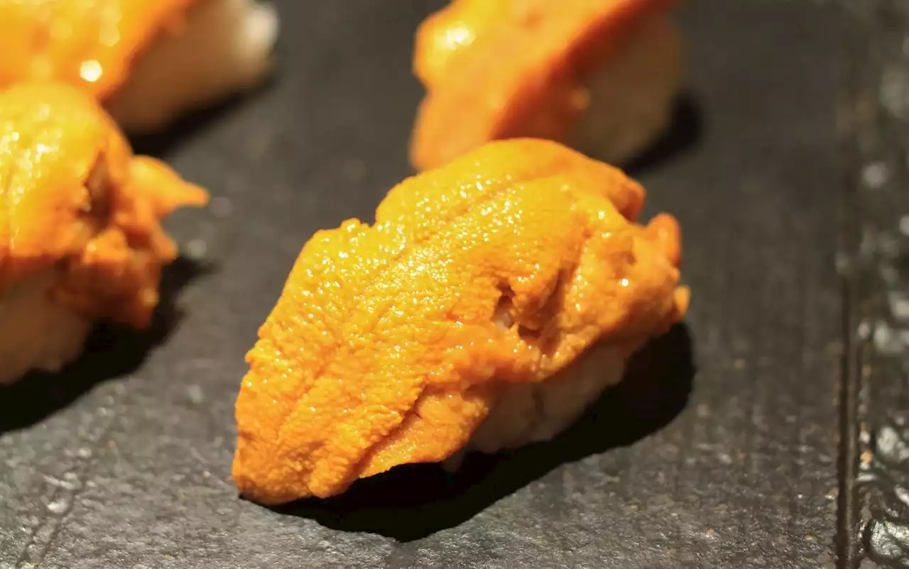 Why Uni Is a Prized Ingredient in Kitchens From Japan to Italy