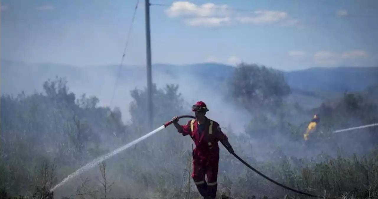 Foreign firefighters battling blazes, fatigue and mosquitoes in Canada - National | Globalnews.ca