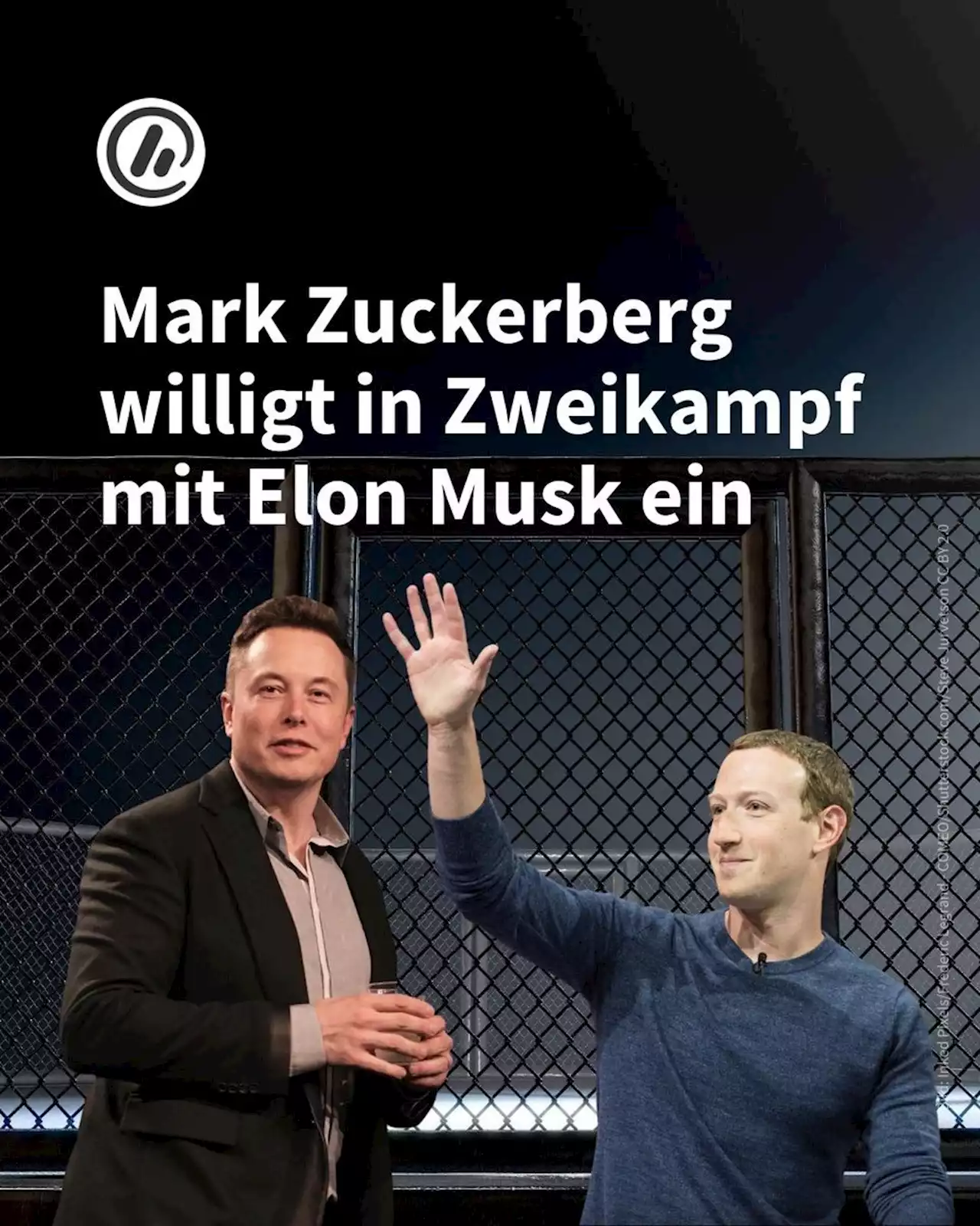 'Sag mir wo': Zuckerberg willigt in Zweikampf mit Musk ein