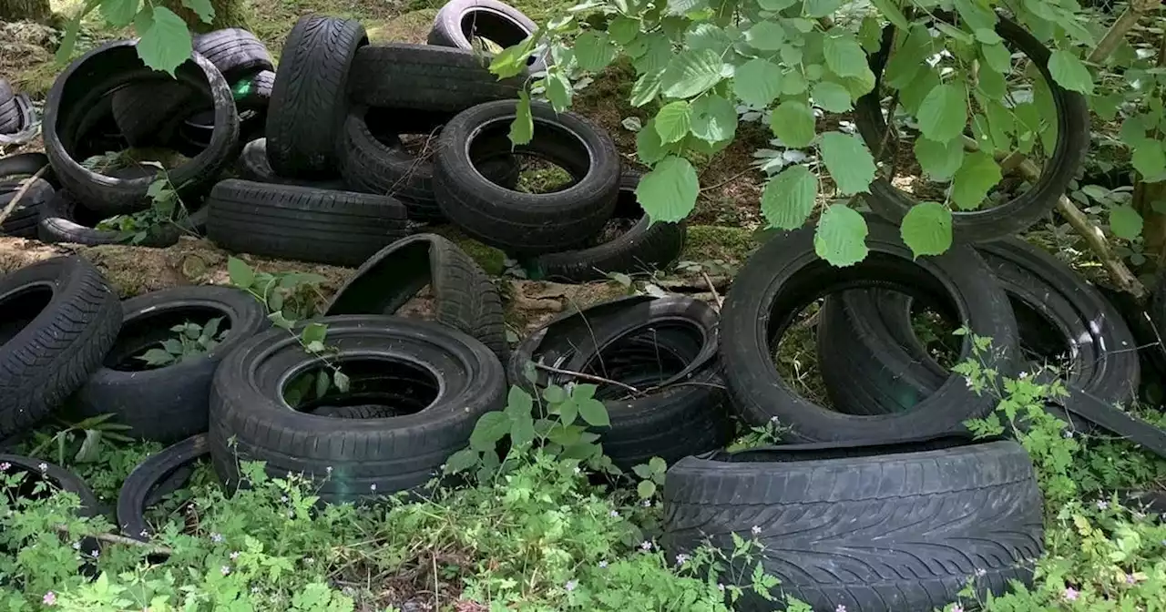 Alte Reifen bei Prackenbach rücksichtslos im Wald abgeladen - idowa