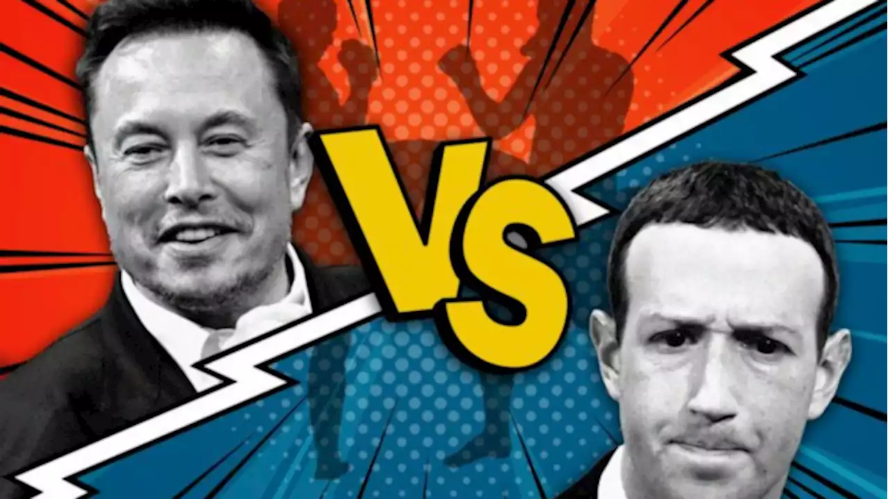 Elon Musk vs. Mark Zuckerberg fight coming soon?