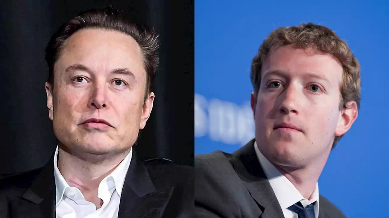 Zuck vs Musk: Elon Musk and Mark Zuckerberg set for Vegas cage fight