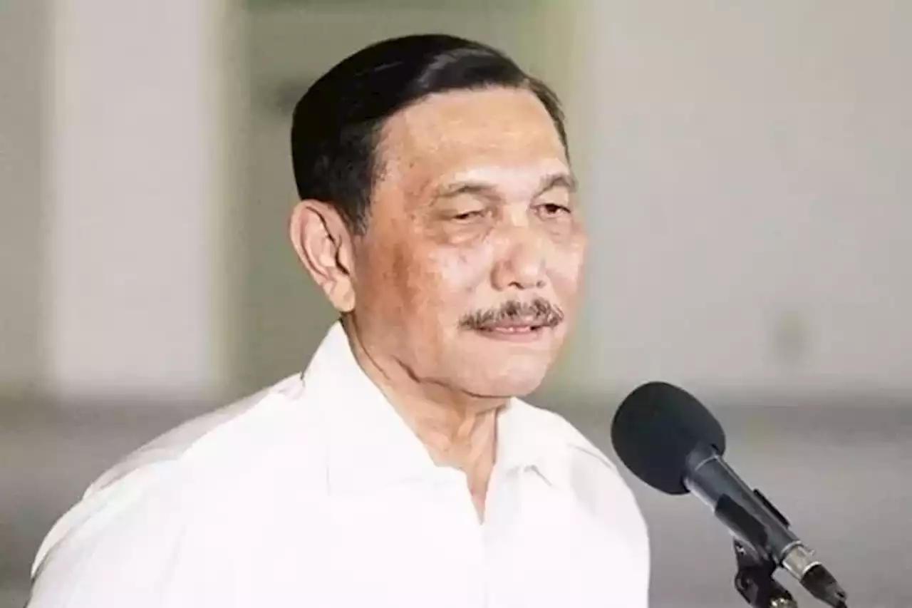 Luhut Minta Perusahaan Sawit Lapor ke Pemerintah Paling Lambat 3 Agustus - Jawa Pos