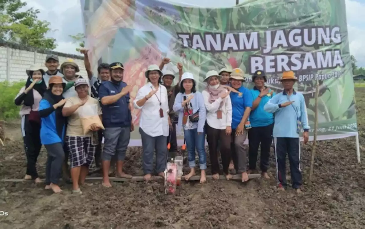 Warga Kampung Harus Tetap Tanam Pohon Sagu