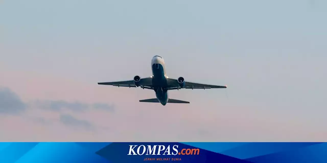 Bawa 6 Orang, Pesawat SAM Air Hilang Kontak di Yalimo 7 Menit Usai Lepas Landas