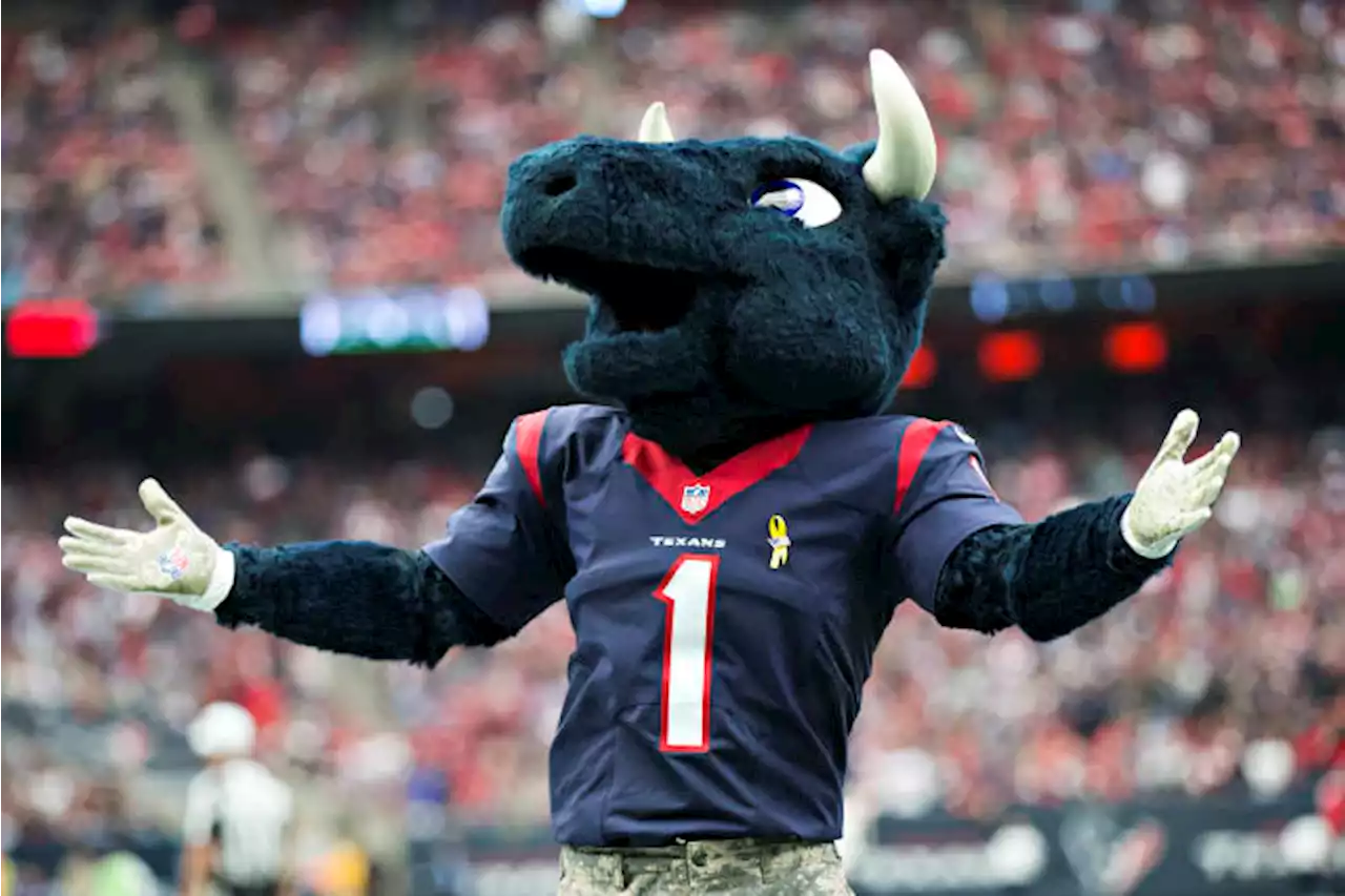 National Mascot Hall of Fame to announce official 2023 inductees; Houston Texans’ Toro among nominees