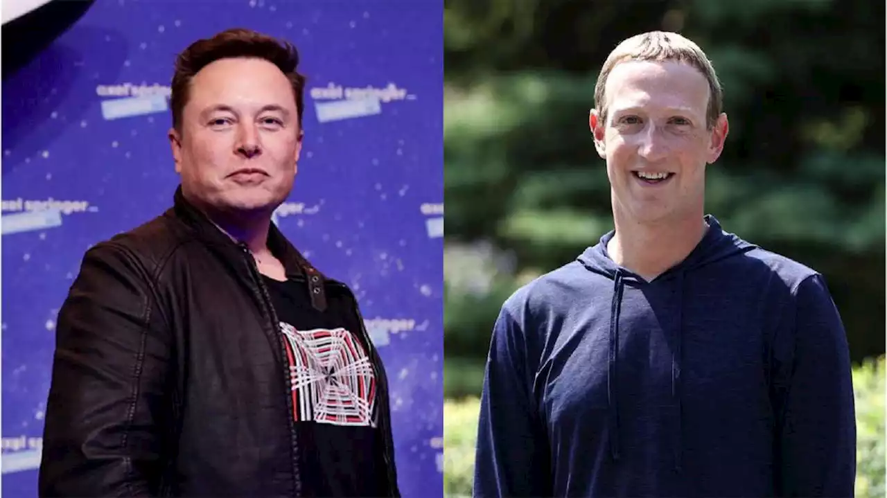 Elon Musk and Mark Zuckerberg say they're ready for a cage fight