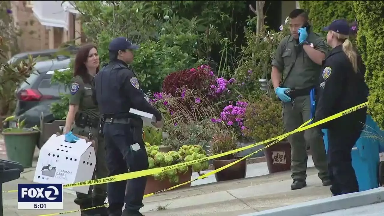 San Francisco man fatally shot by police after allegedly killing mom, dog