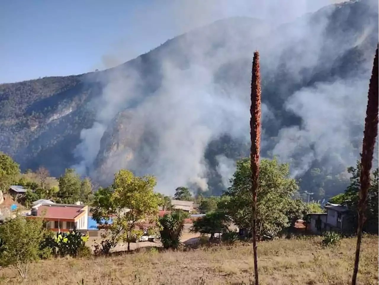 Tras cuatro días, sigue sin control incendio forestal en Hidalgo