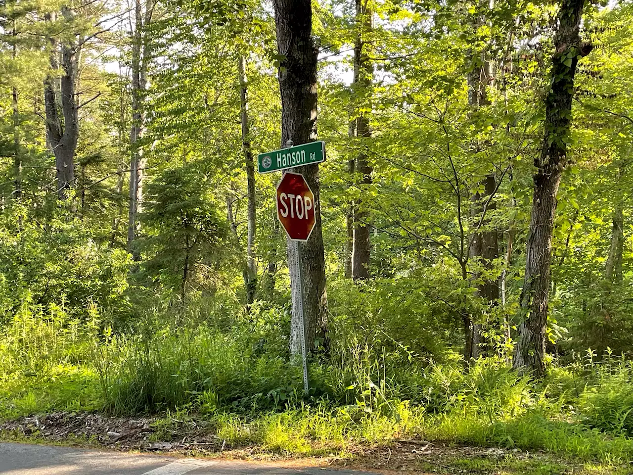 Dad tells 911 bear broke into Conn. home while son was home alone