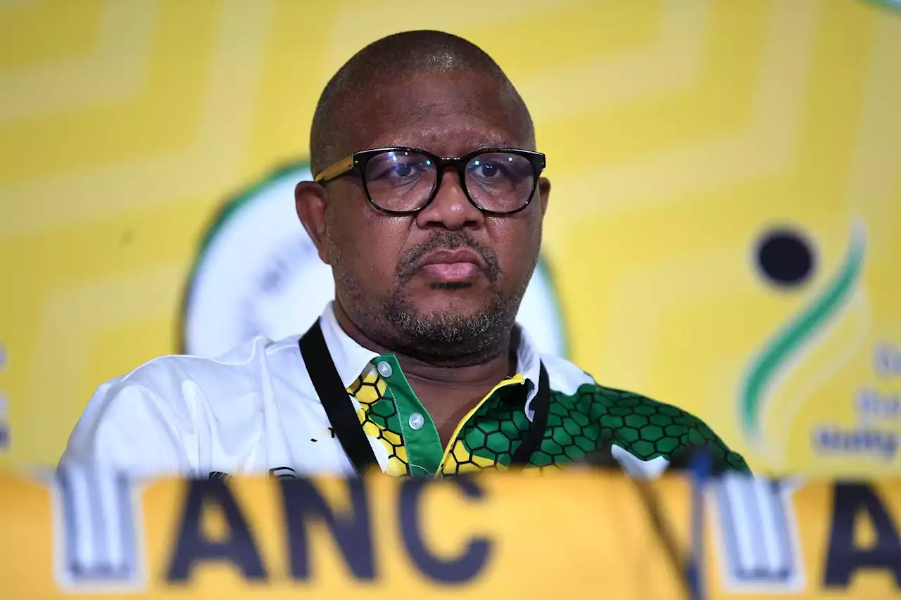 To deploy or not deploy: Mbalula's cadre deployment doublespeak | News24