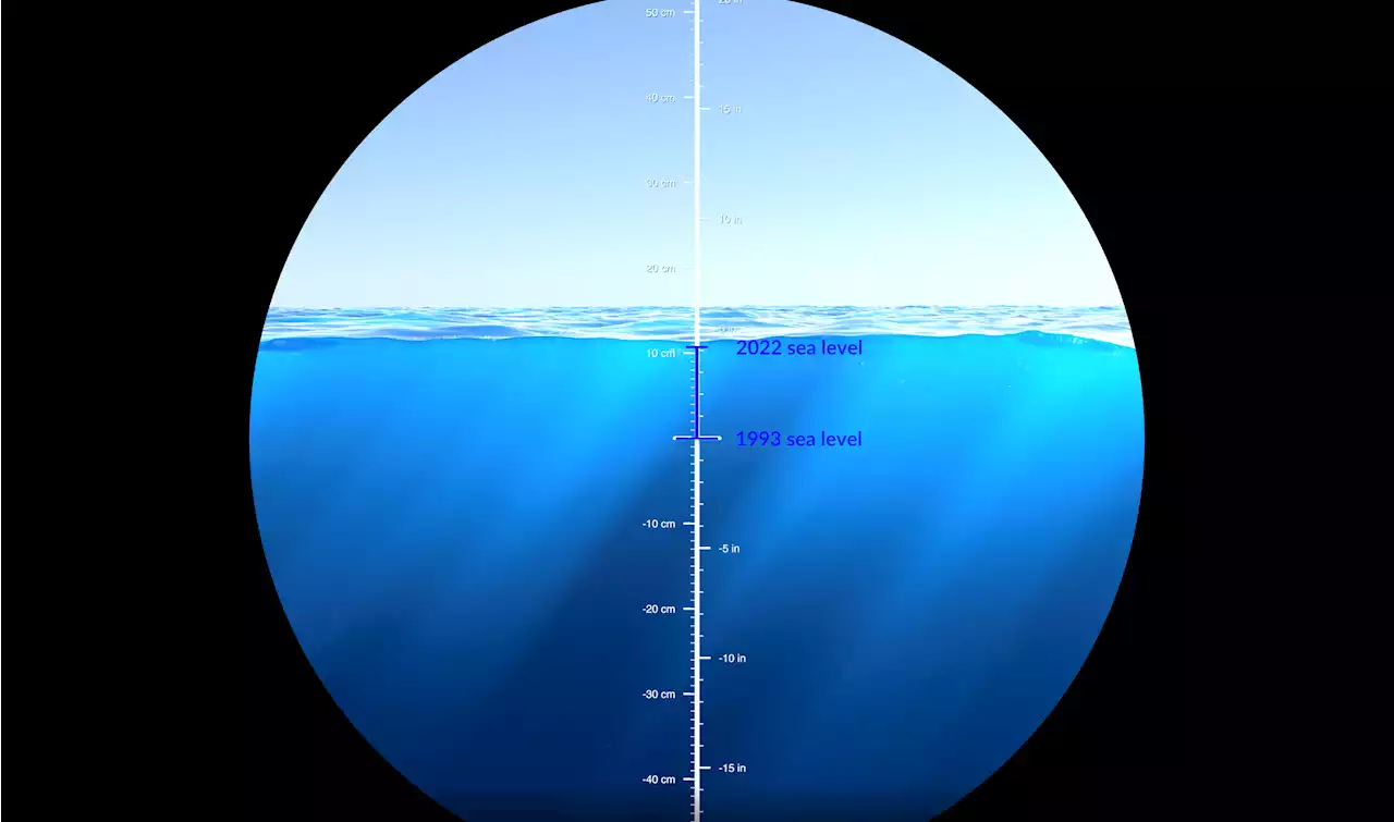 Terrifying video shows sea level rise predictions were true