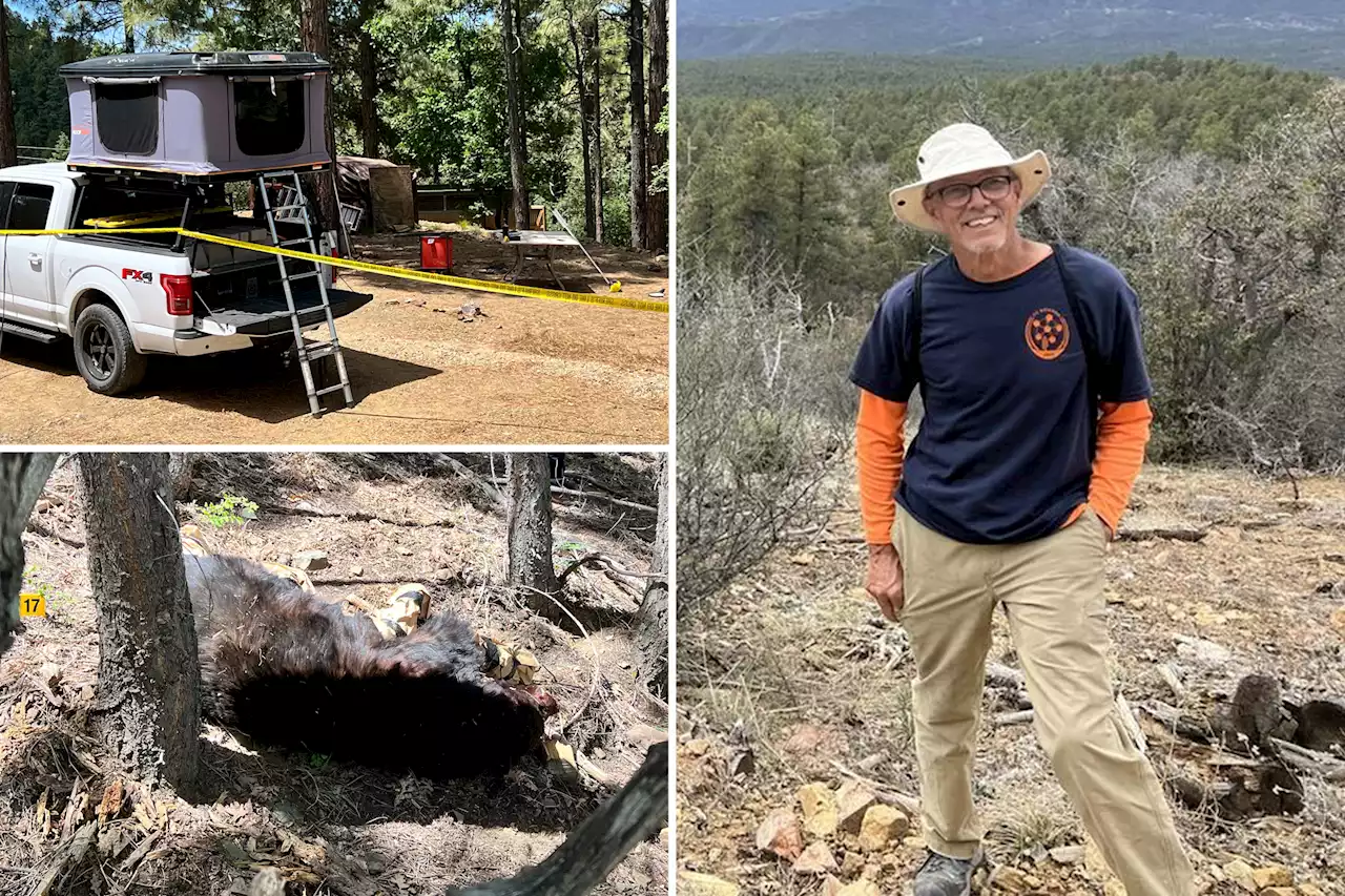 Bear that killed Arizona man in unprovoked attack wasn’t sick or starving, leaving officials perplexed