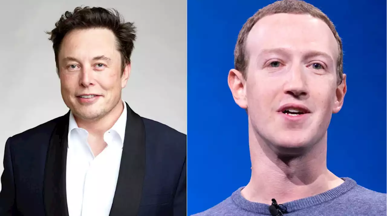 Chefão do UFC diz que Musk e Zuckerberg estão levando luta a sério