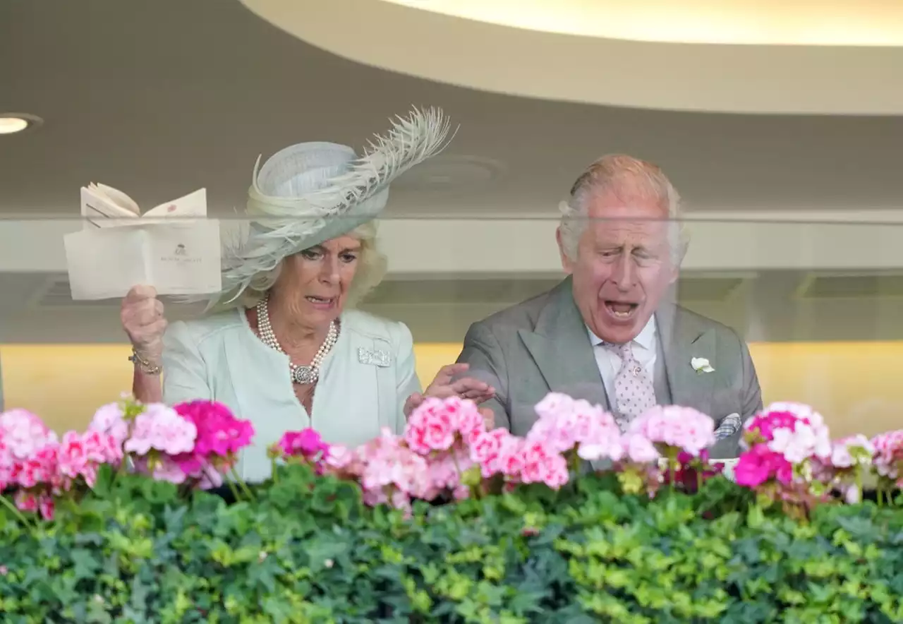 Charles beams as he celebrates 18-1 Royal Ascot win with Camilla