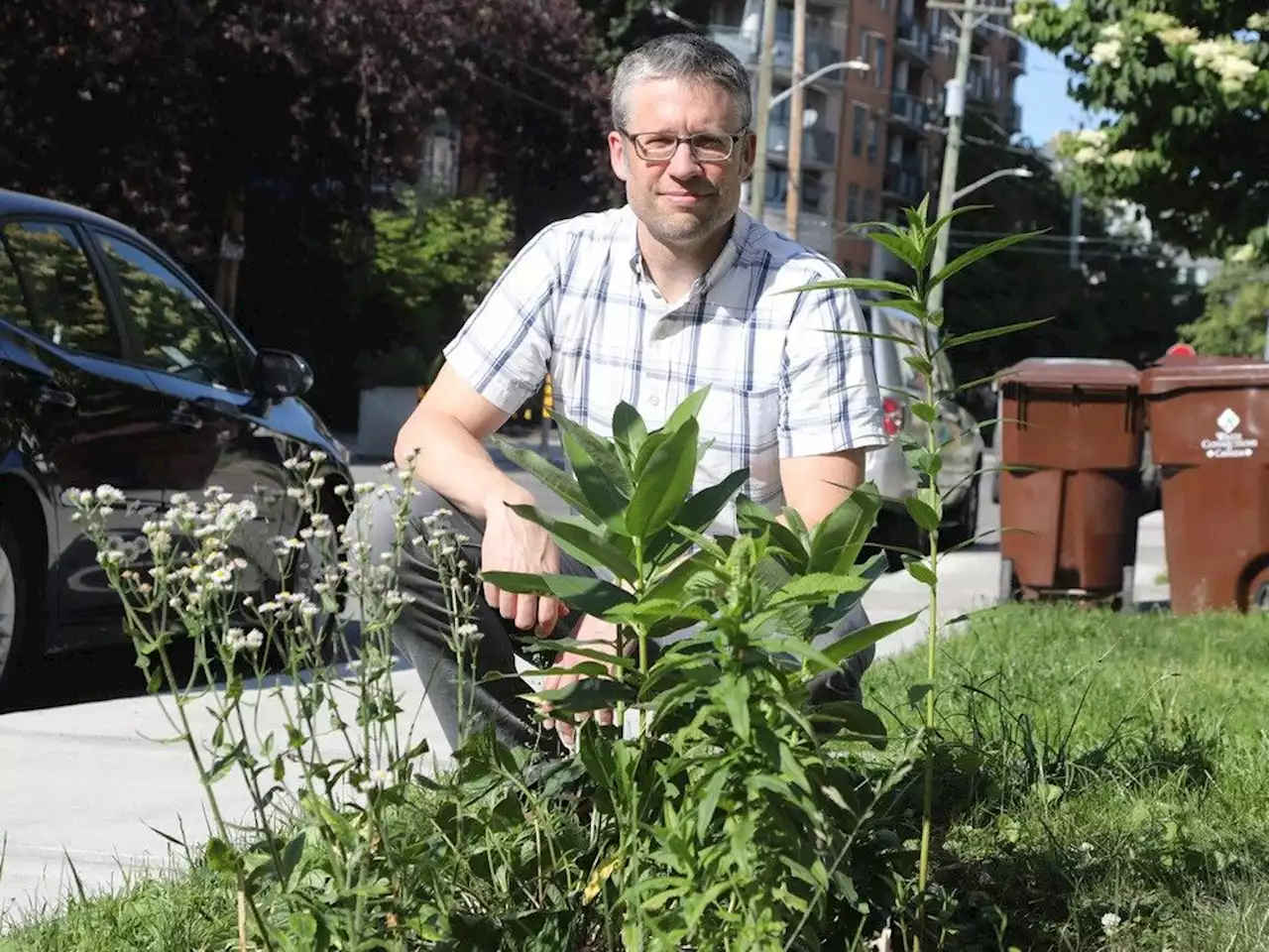 Transportation committee approves 'restrictive' new rules on gardens grown on city rights of way