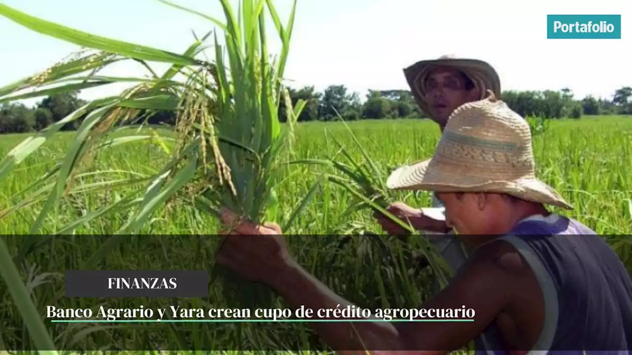 Banco Agrario y Yara crean cupo de crédito agropecuario