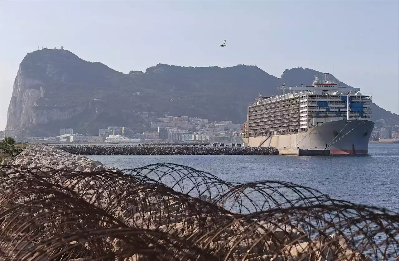 Inspeccionan un barco con 16.000 vacas atracado en Cádiz en busca de droga