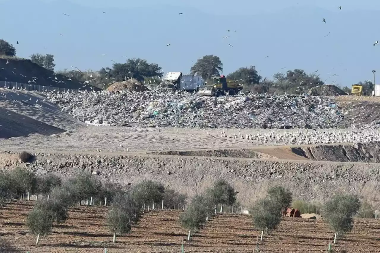 Tu reciclas, pero tu Ayuntamiento no