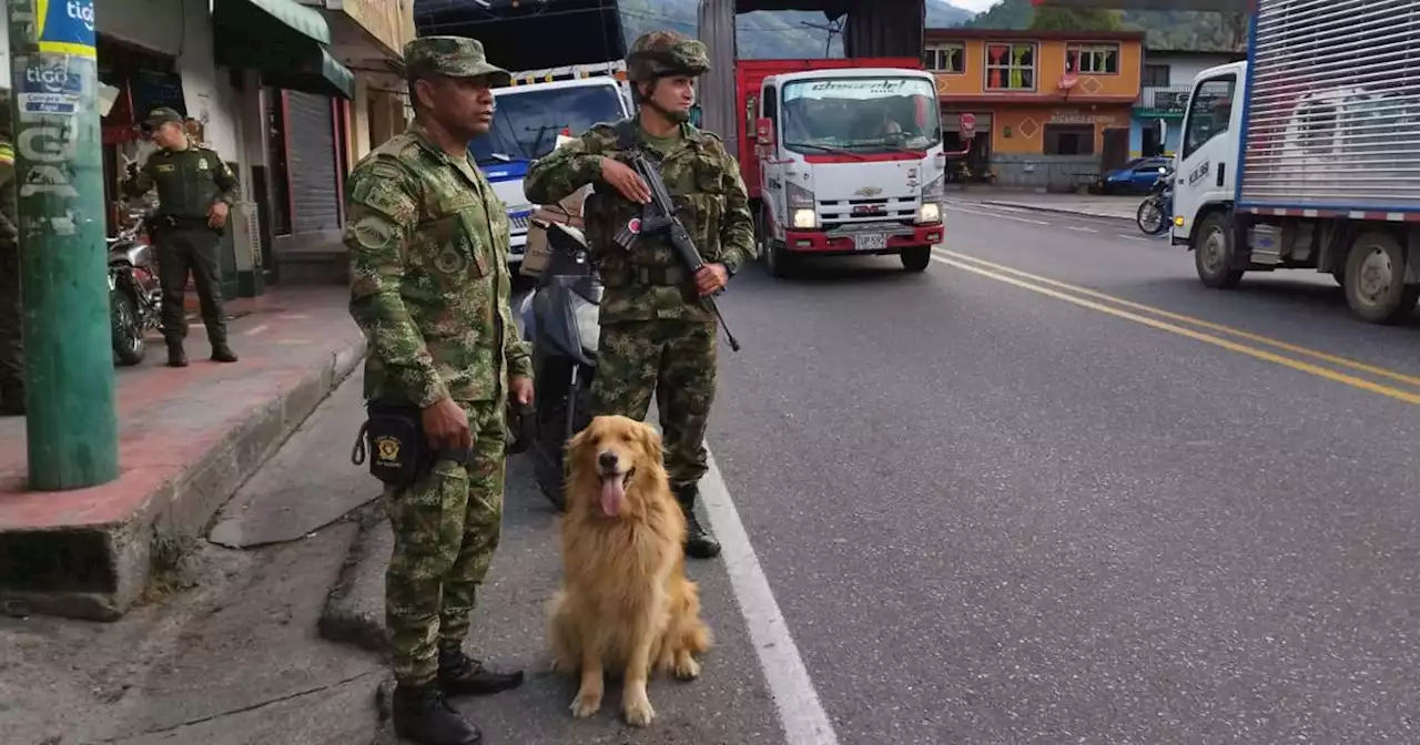 “Toca hacerle la vuelta”: perrito antinarcóticos del Ejército está amenazado y tiene guardaespaldas