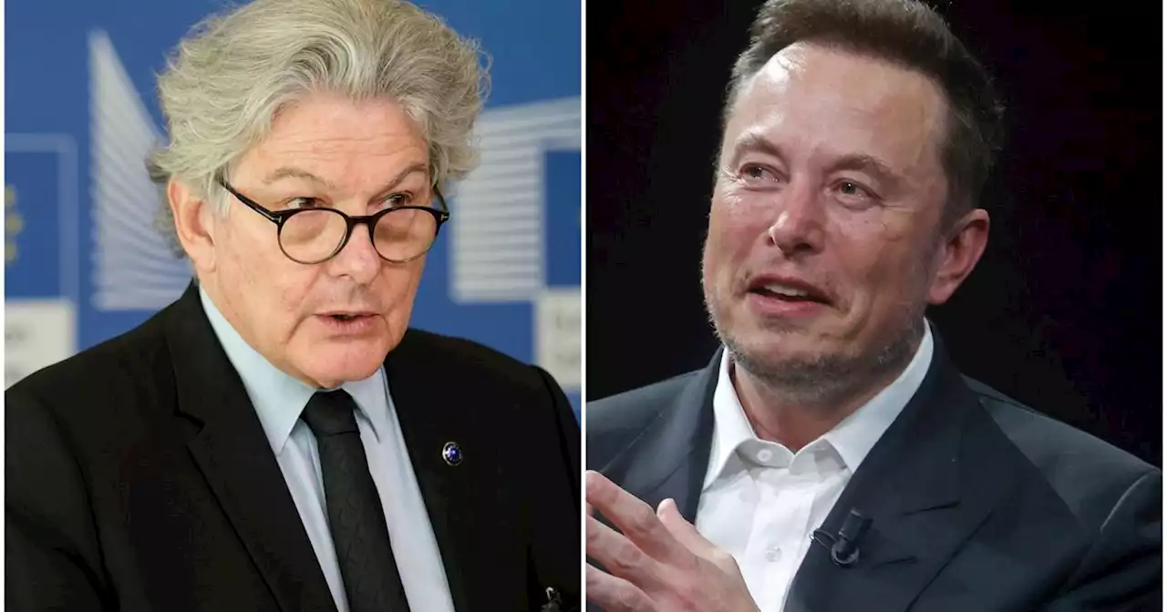 Twitter, l'Unione europea avverte Musk: moderare i contenuti entro fine agosto o violerete le norme