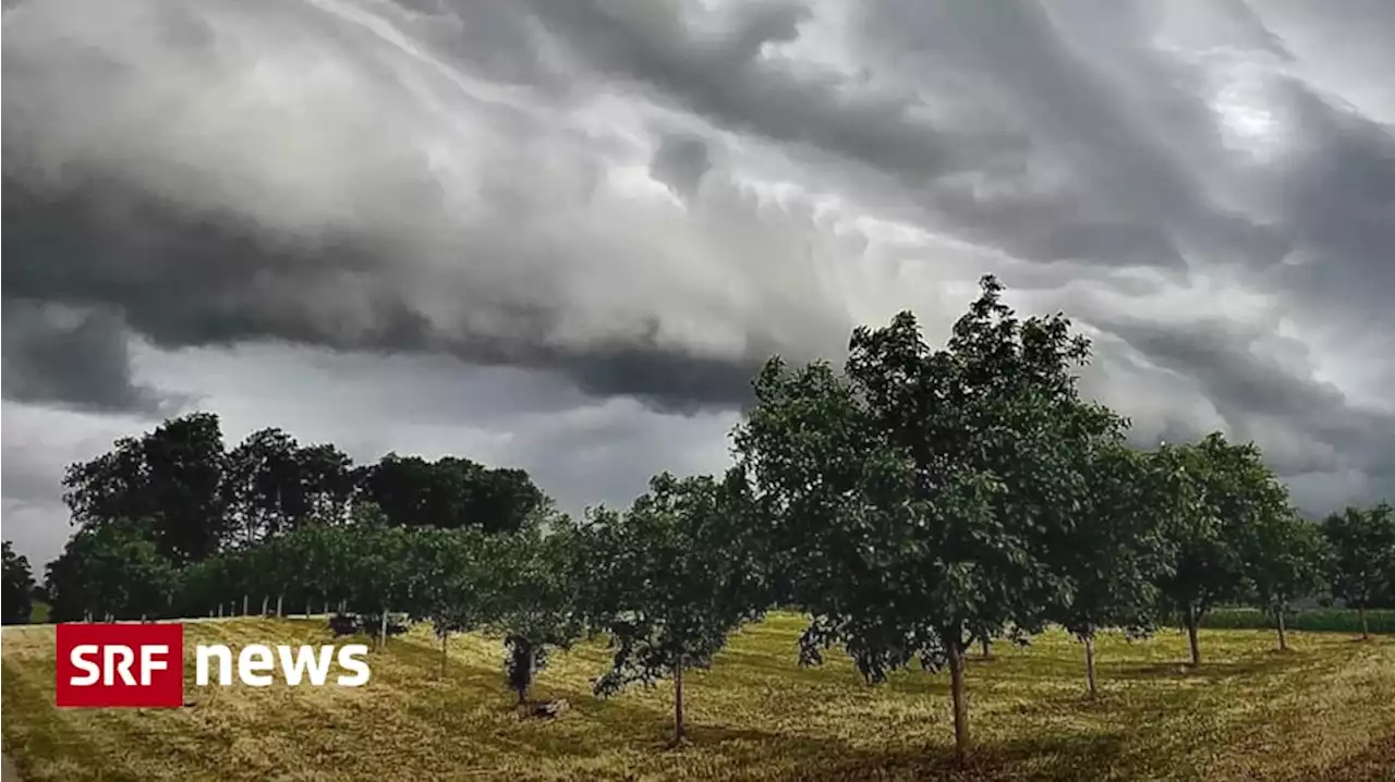 Blitz, Donner & Regen - Gewitter und Starkregen – aber kaum grössere Schäden