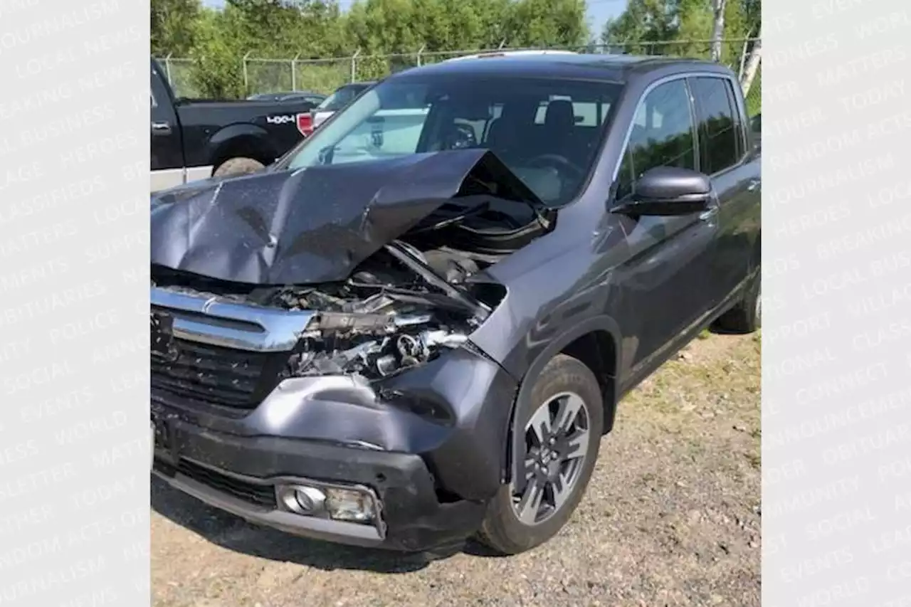 ‘This thing was huge’: Driver warns others after hitting elk on Hwy. 17