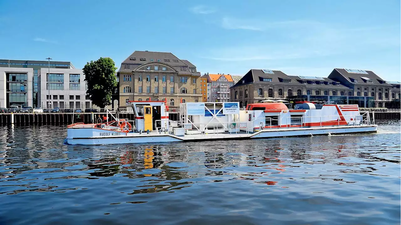 Massensterben in Berliner Gewässern: Rettendes Belüftungsschiff kommt für viele Fische zu spät – wegen Verwaltungspanne