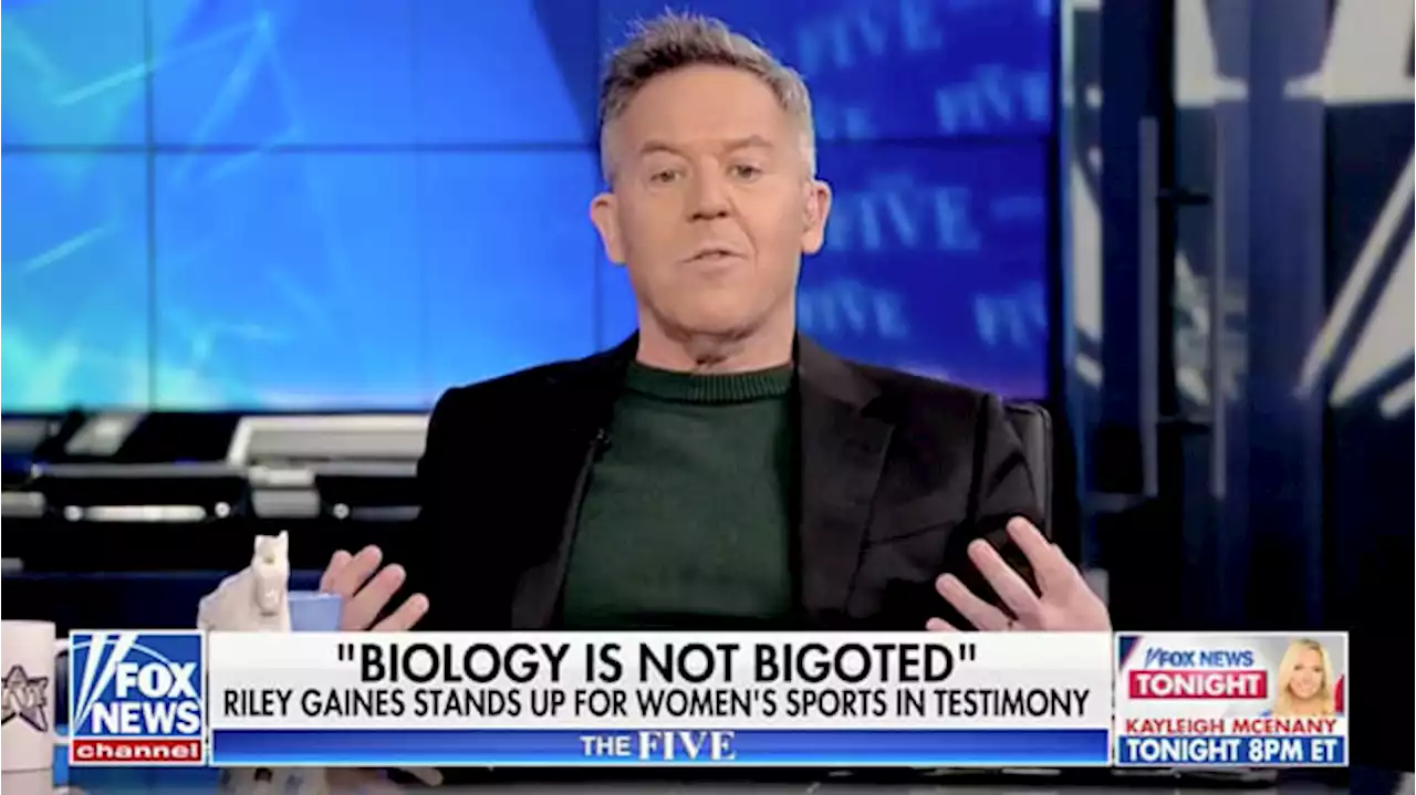 Gutfeld Says Gender-Affirming Care Will Lead to Civil War