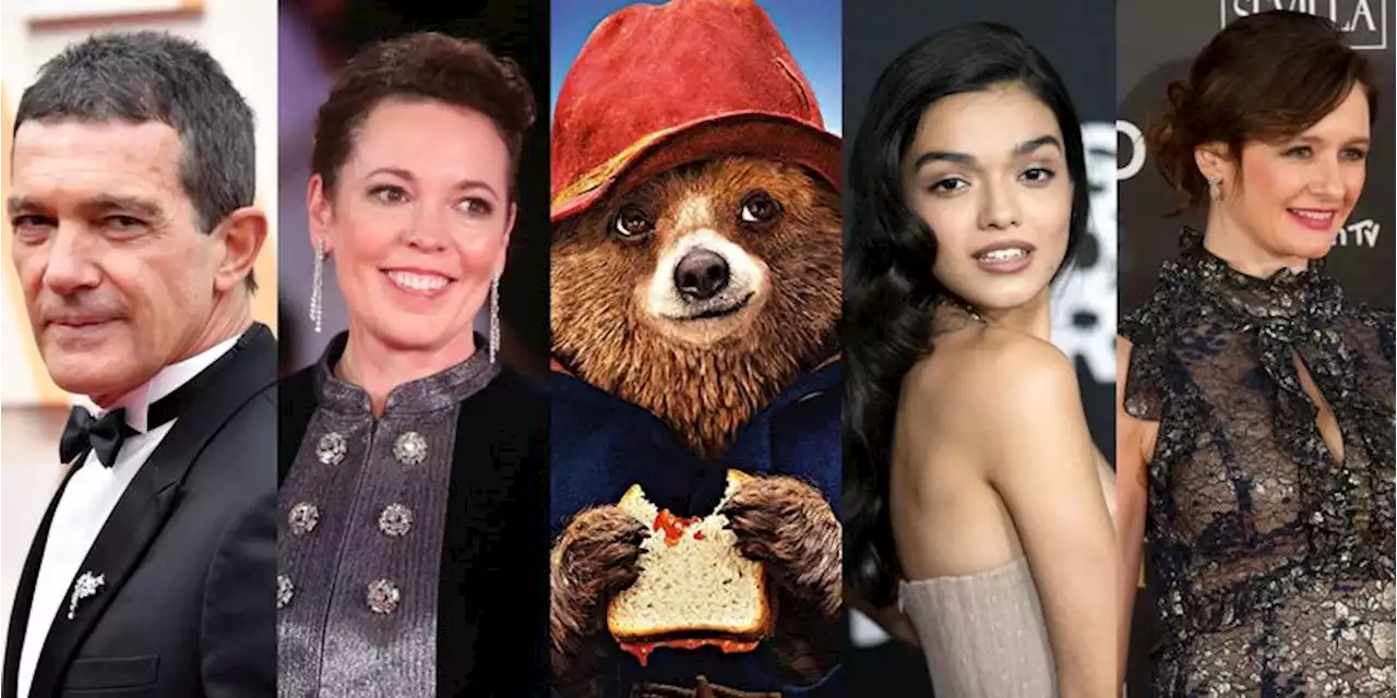 Paddington 3: Antonio Banderas, Olivia Colman, Rachel Zegler y Emily Mortimer se unen al elenco | Tomatazos