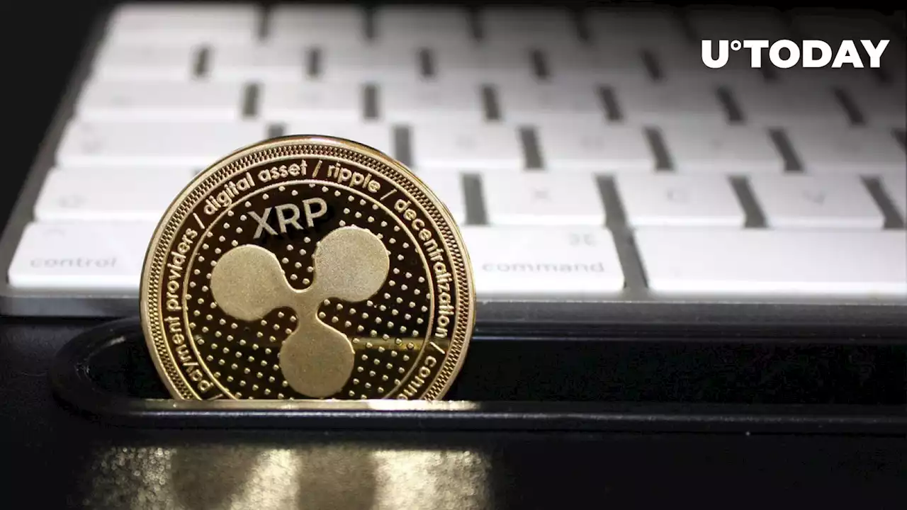 Millions of Stolen XRP on Run: Latest Update Reveals Astonishing Developments