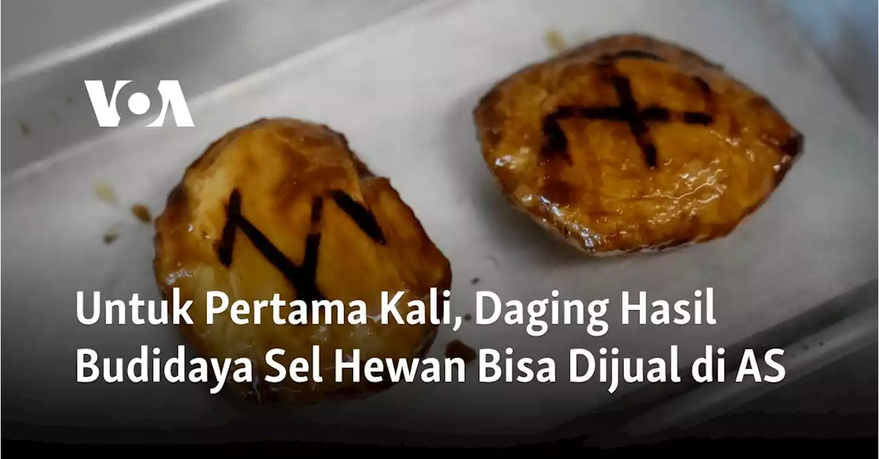 Untuk Pertama Kali, Daging Hasil Budidaya Sel Hewan Bisa Dijual di AS