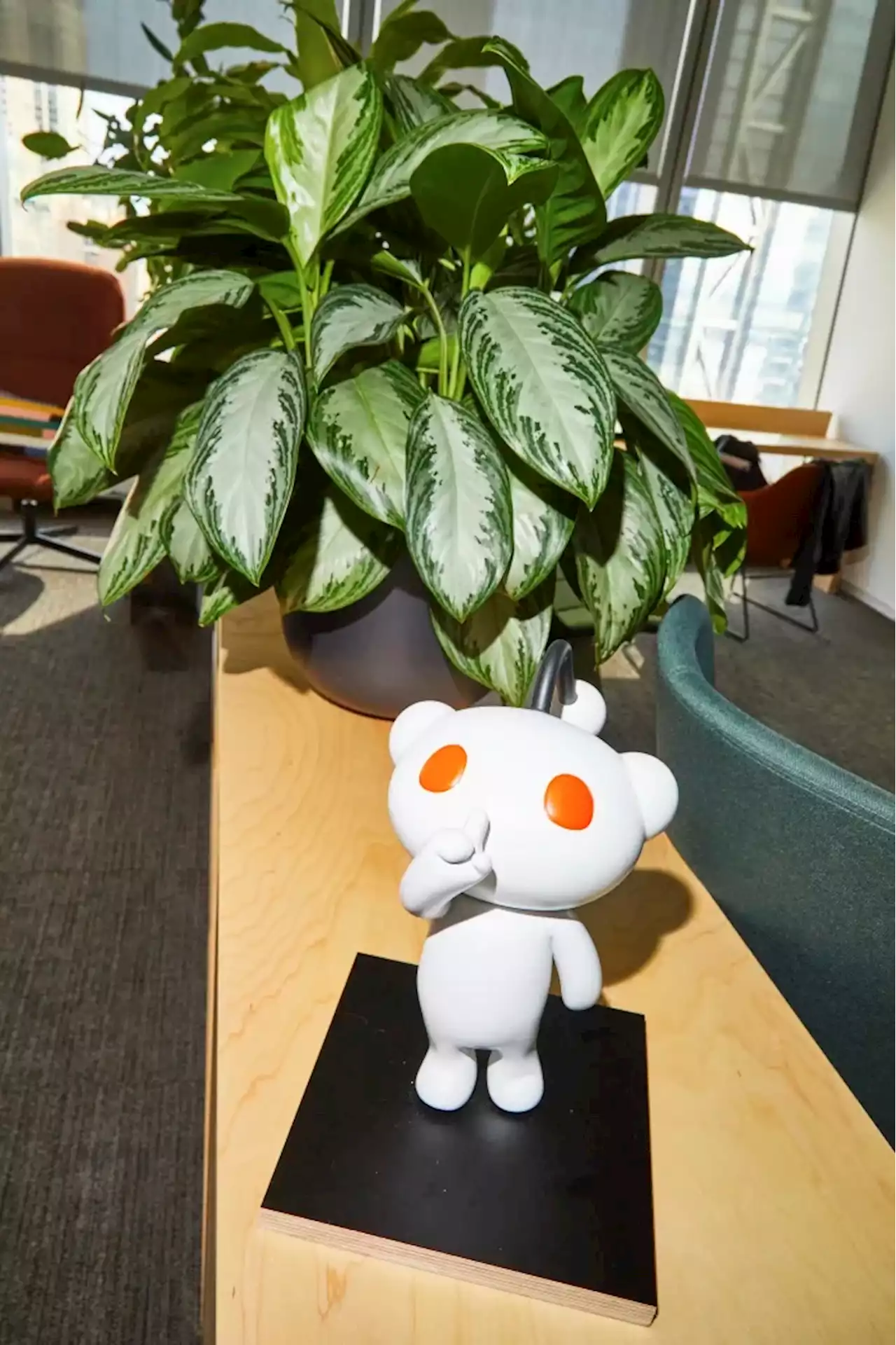 Reddit’s Chief Says He Wants It to ‘Grow Up.’ Will Its Community Let It?