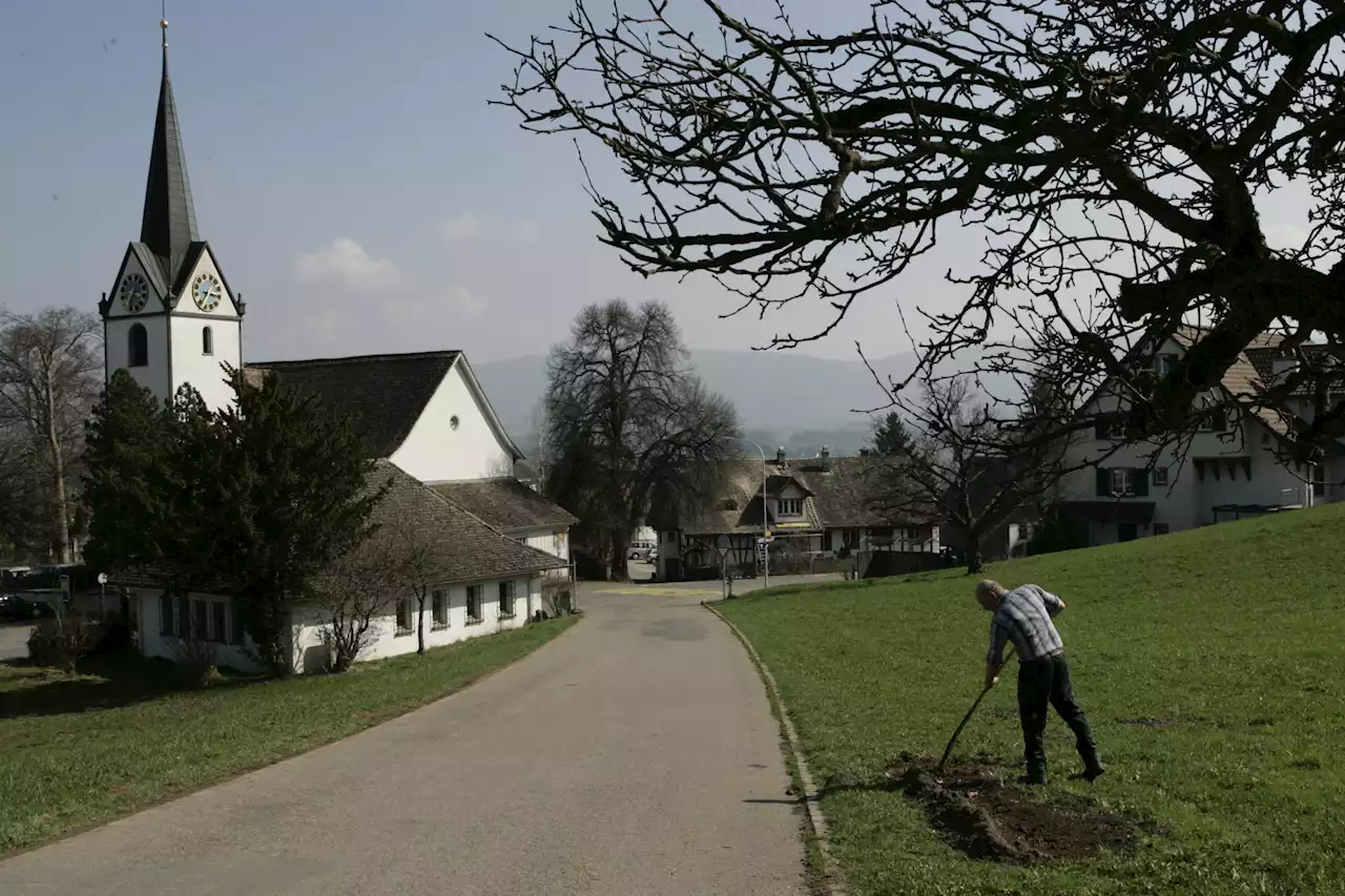 Hirzel ZH: Vater (61) und Sohn (28) sterben bei Arbeitsunfall in Güllegrube