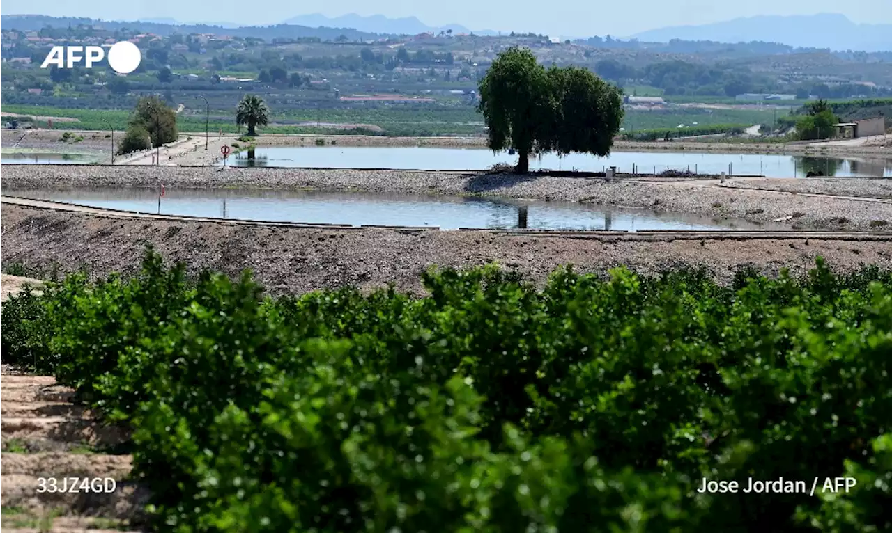 Réutilisation des eaux usées: en Espagne, 'chaque goutte compte'