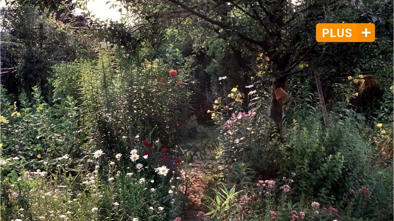 So schützen Sie Ihren Garten vor Hitze