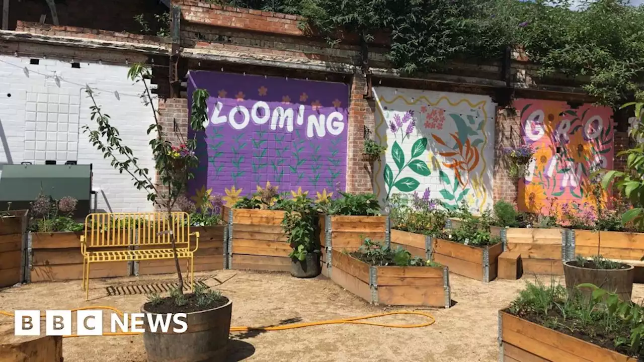 Derby community garden opens in city centre