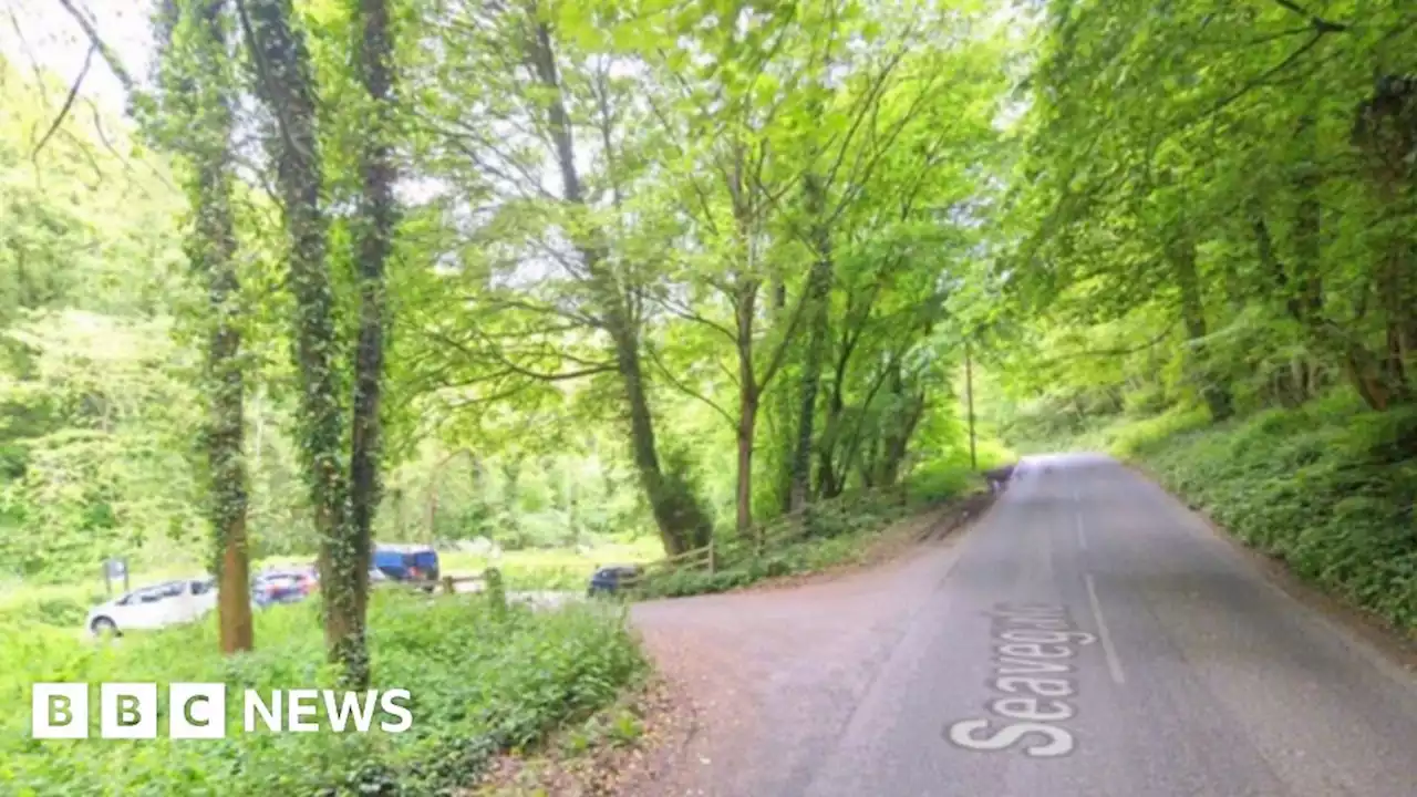 East Ayton: Man, 18, dies in North Yorkshire crash