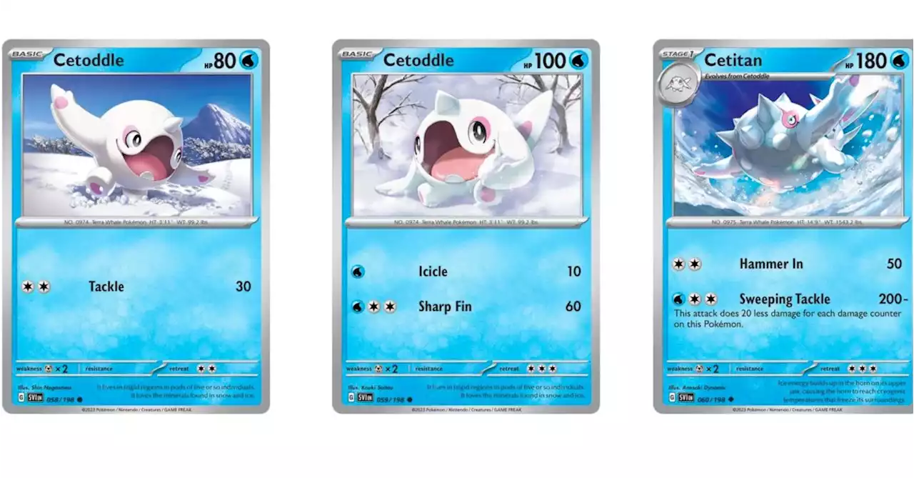 The Cards Of Pokémon TCG: Scarlet & Violet Part 13: Cetoddle Line