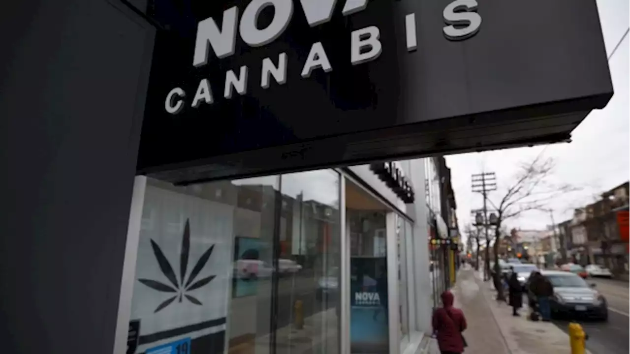 Ontario cannabis regulator wants feedback on rules restricting window displays - BNN Bloomberg