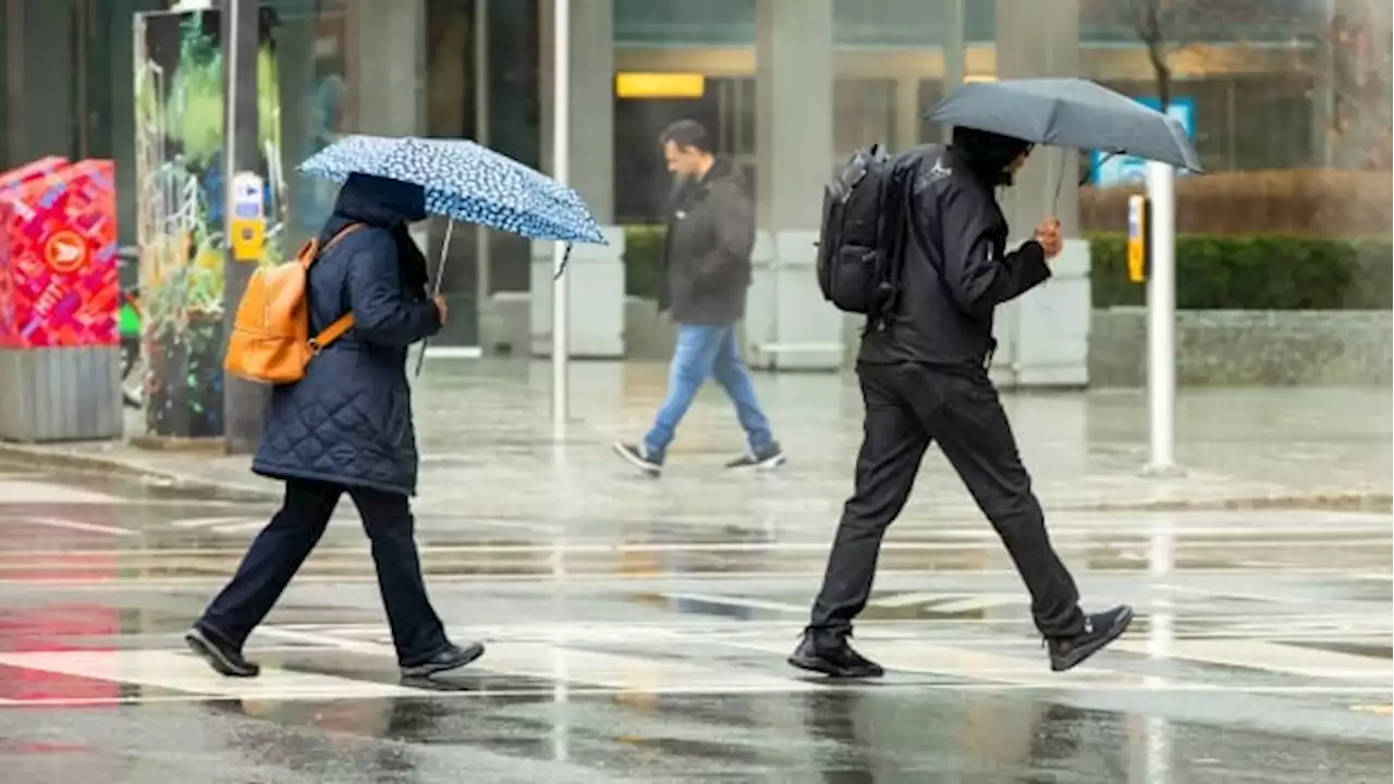 Weather, conservation agencies warn heavy rainfall can bring flash floods throughout GTA | CBC News