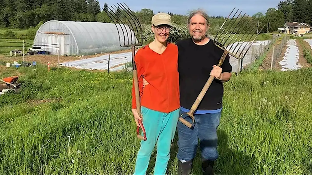 'He would love this': Nanaimo food program harvests crops planted by late founder